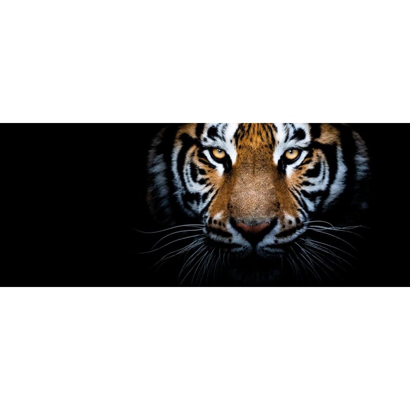 A.S. Création Leinwandbild EyesOfATiger Größe 100cm x 40cm