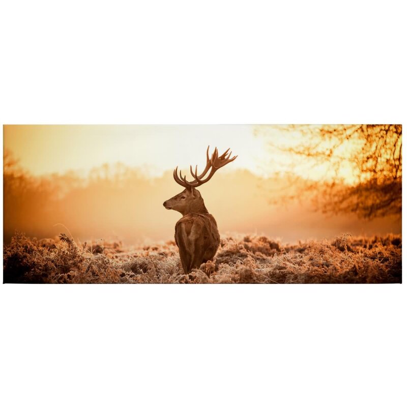 A.S. Création Leinwandbild Majestic Deer Größe 100cm x 40cm
