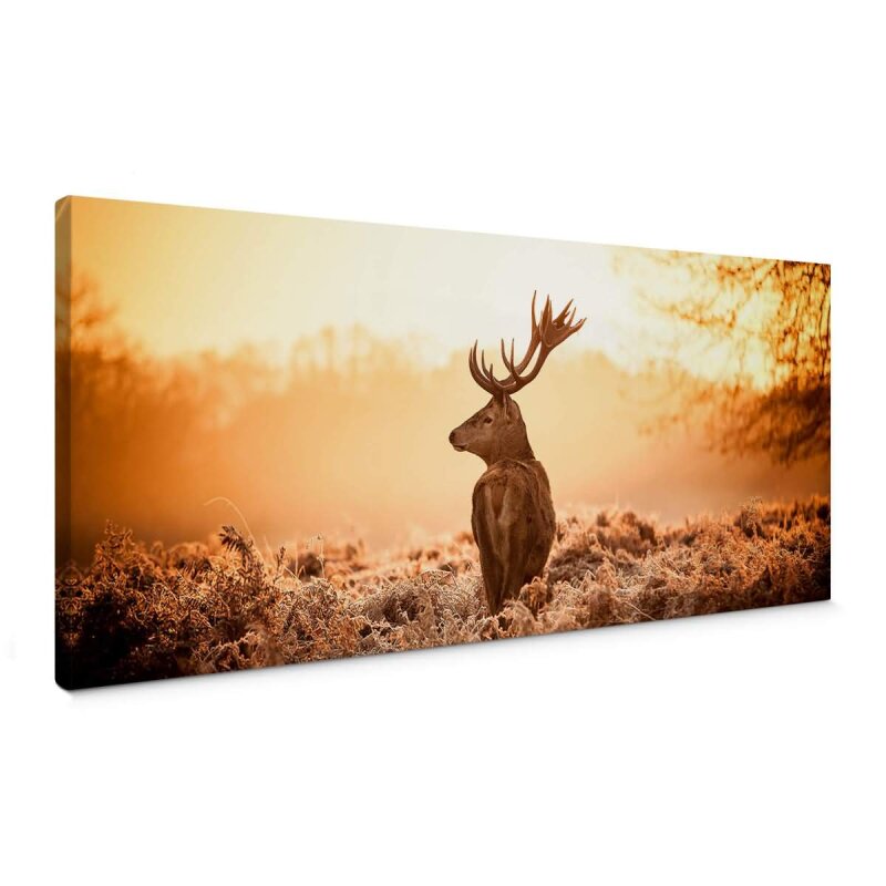 A.S. Création Leinwandbild Majestic Deer Größe 100cm x 40cm