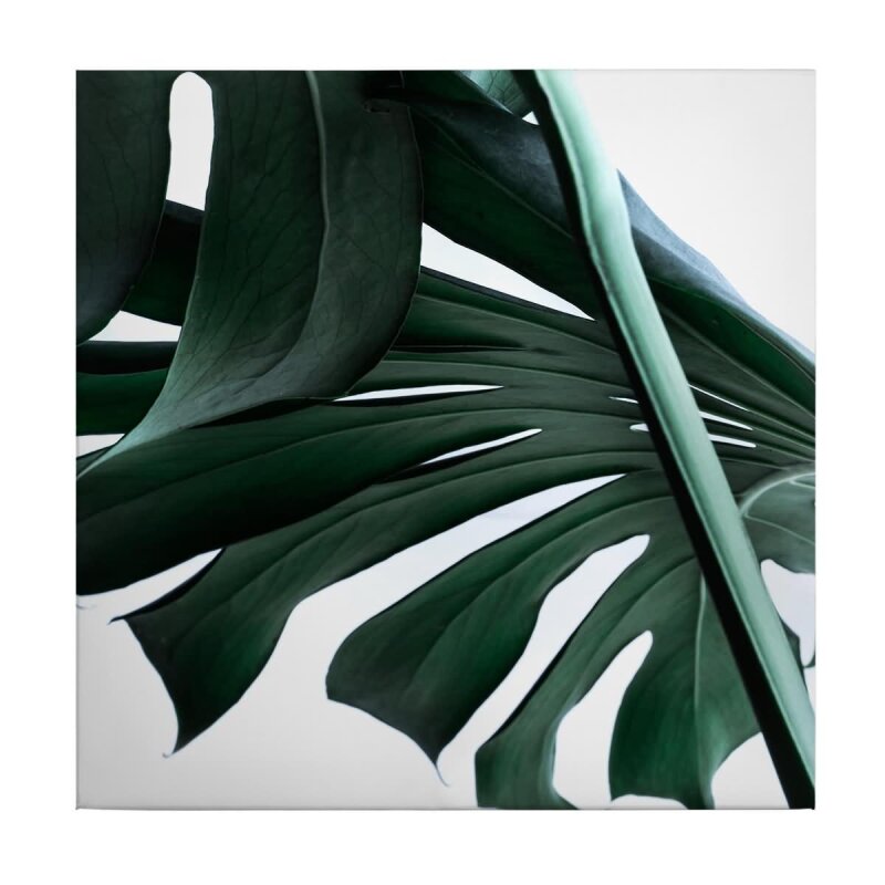 A.S. Création Leinwandbild UrbanJungle02 Größe 50cm x 50cm