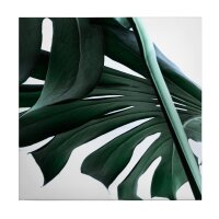 A.S. Cr&eacute;ation Leinwandbild UrbanJungle02...