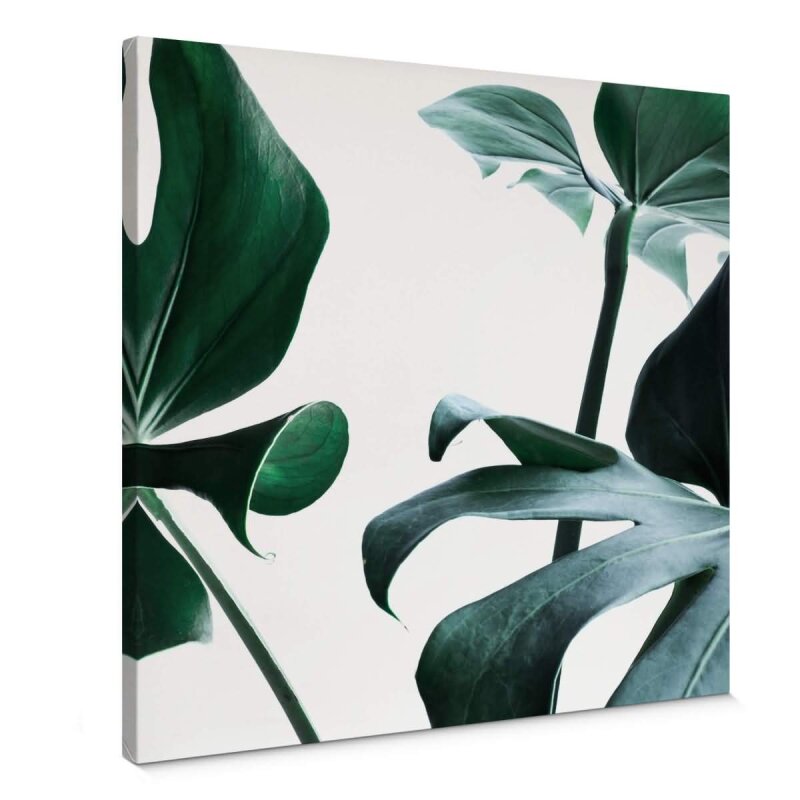 A.S. Création Leinwandbild MonsteraDelici Größe 50cm x 50cm