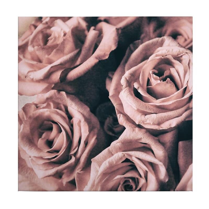 A.S. Création Leinwandbild PinkRosesVinta Größe 50cm x 50cm