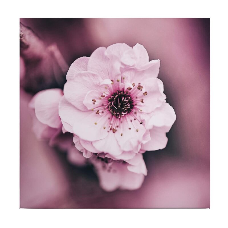 A.S. Création Leinwandbild Flowerage Größe 50cm x 50cm