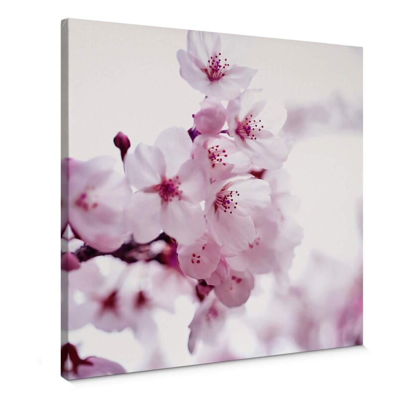 A.S. Création Leinwandbild CherryBlossom2 Größe 50cm x 50cm
