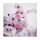 A.S. Création Leinwandbild CherryBlossom2 Größe 50cm x 50cm