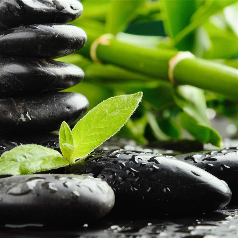 A.S. Création Leinwandbild Zen Stones Größe 50cm x 50cm