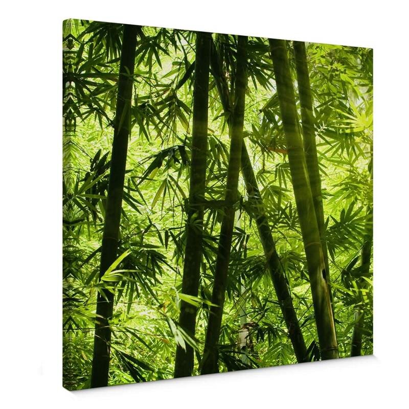 A.S. Création Leinwandbild bamboo forest Größe 50cm x 50cm