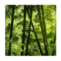 A.S. Cr&eacute;ation Leinwandbild bamboo forest...