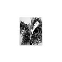 A.S. Cr&eacute;ation Leinwandbild Sunset Boulevard...