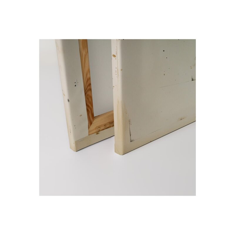 A.S. Création Leinwandbild Beetle Größe 40cm x 50cm