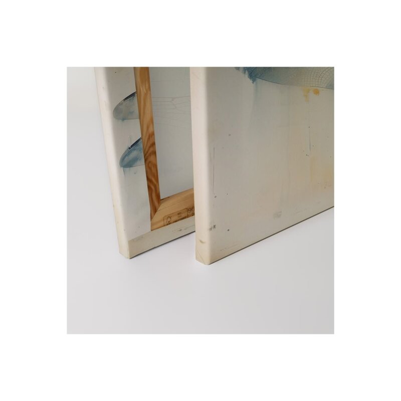 A.S. Création Leinwandbild Dragonfly Größe 50cm x 40cm