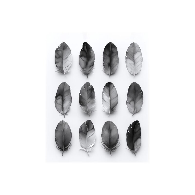 A.S. Création Leinwandbild Feathers Grey Größe 40cm x 50cm
