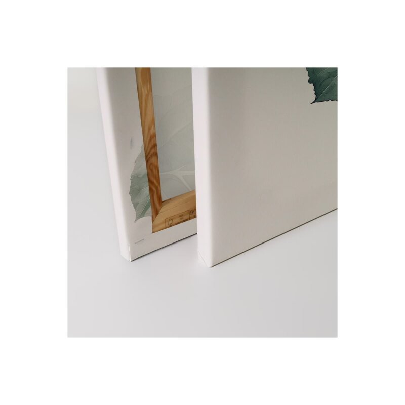 A.S. Création Leinwandbild Hortensie Rose Größe 40cm x 50cm