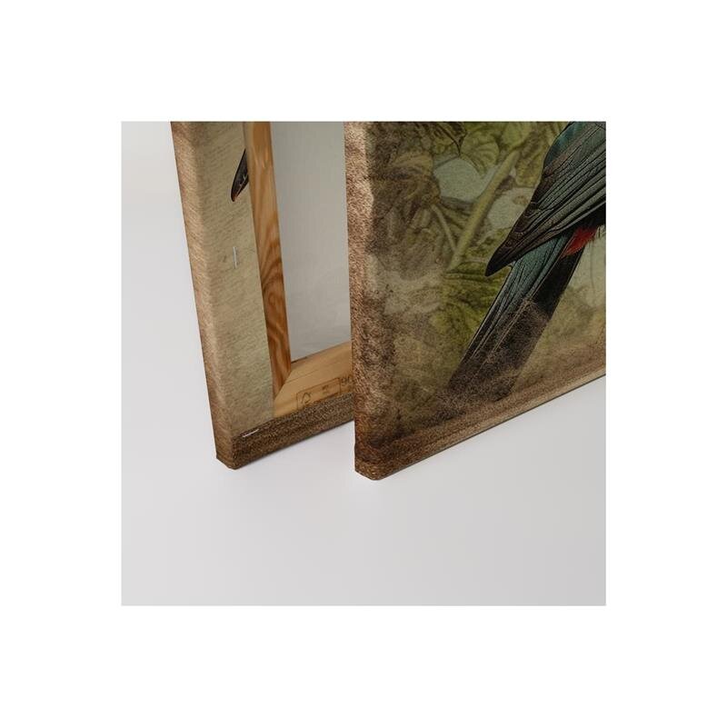 A.S. Création Leinwandbild Toucan Vintage Größe 40cm x 50cm