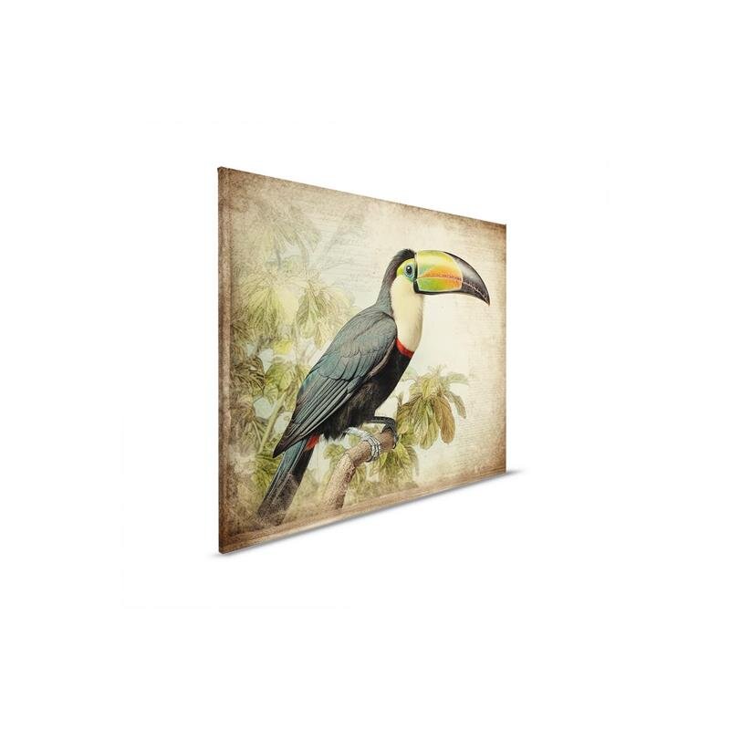 A.S. Création Leinwandbild Toucan Vintage Größe 40cm x 50cm