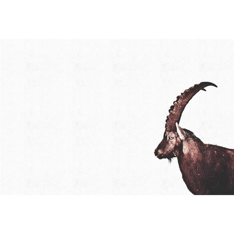 A.S. Création Leinwandbild Capricorn Snow