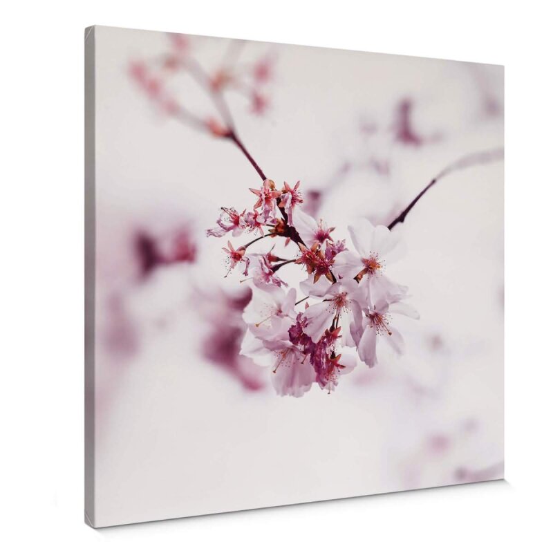 A.S. Création Leinwandbild Cherry Blossom