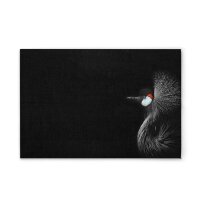 A.S. Cr&eacute;ation Leinwandbild Crowned Crane