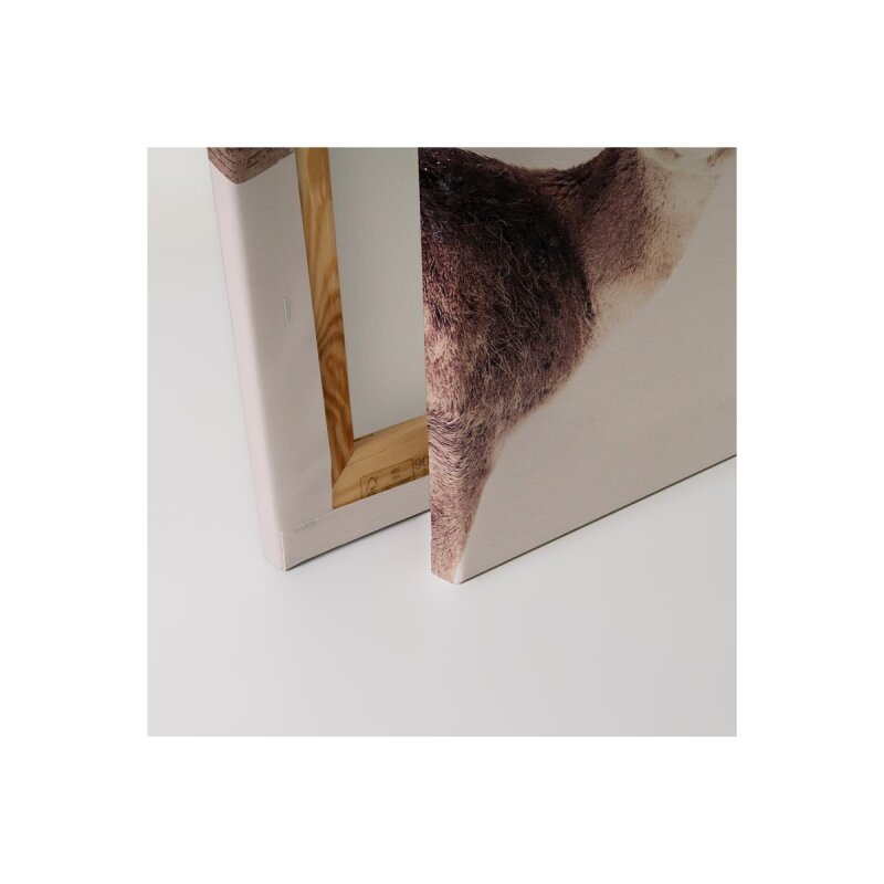 A.S. Création Leinwandbild Deer Rose