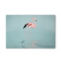 A.S. Cr&eacute;ation Leinwandbild Flamingo Water