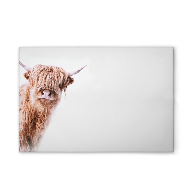 A.S. Création Leinwandbild Highland Cattle 2