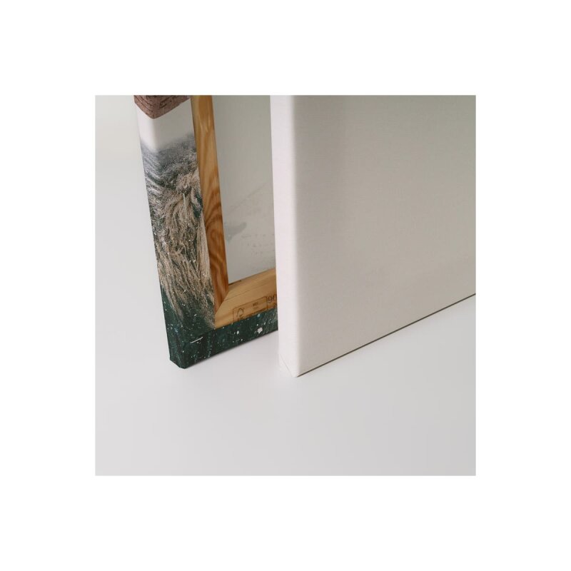 A.S. Création Leinwandbild Lion In Snow