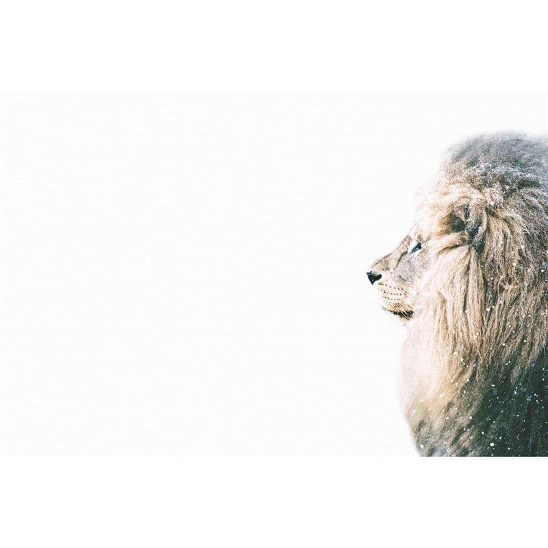 A.S. Création Leinwandbild Lion In Snow