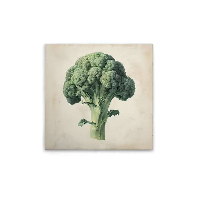 A.S. Création Leinwandbild Brokkoli