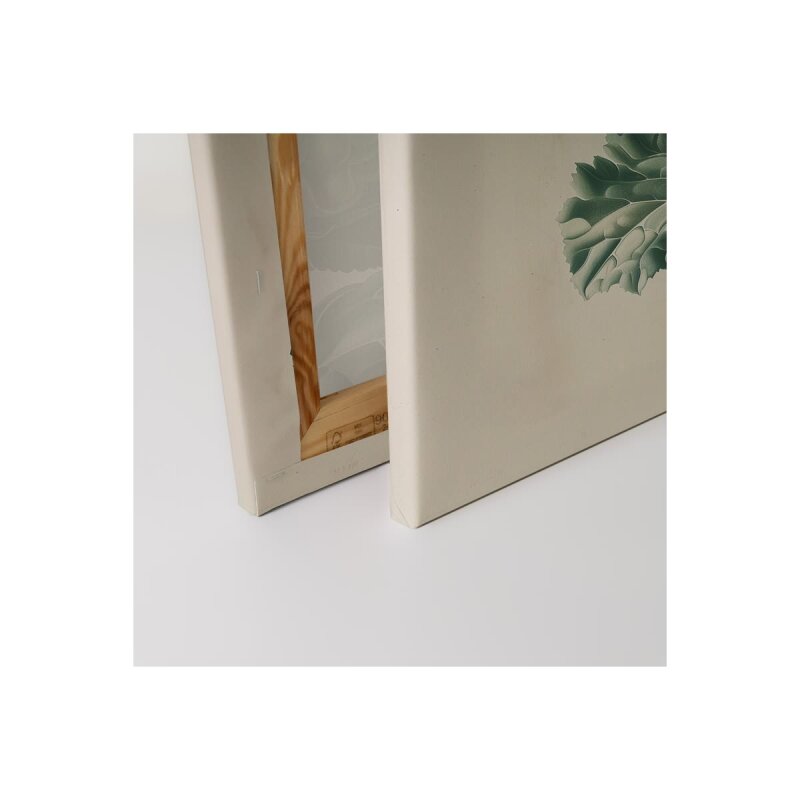 A.S. Création Leinwandbild Romanesco Green