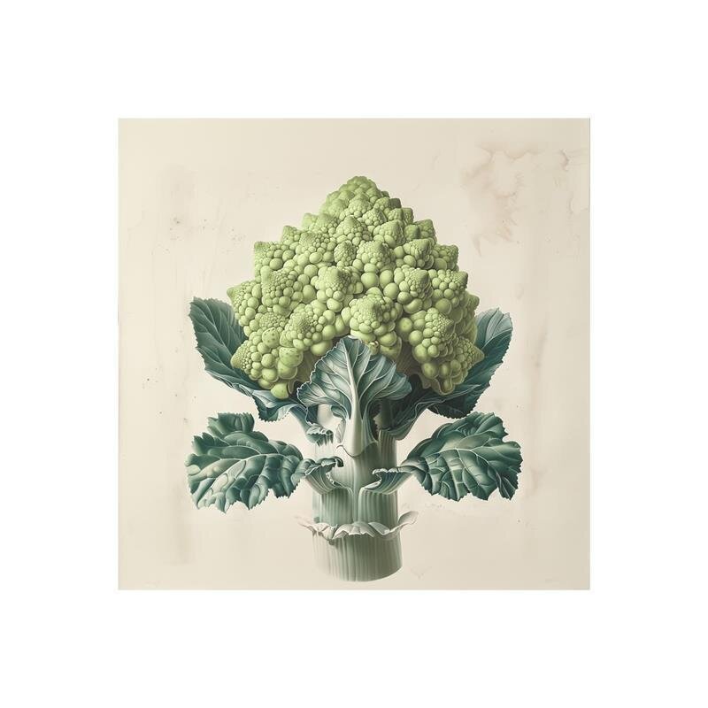 A.S. Création Leinwandbild Romanesco Green