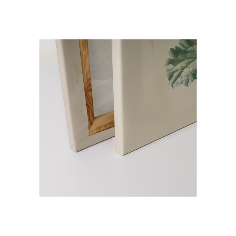 A.S. Création Leinwandbild Romanesco Weiss