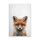 A.S. Création Leinwandbild Baby Fox