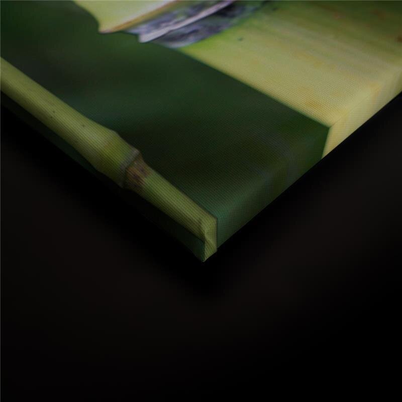 A.S. Création Leinwandbild Bambus