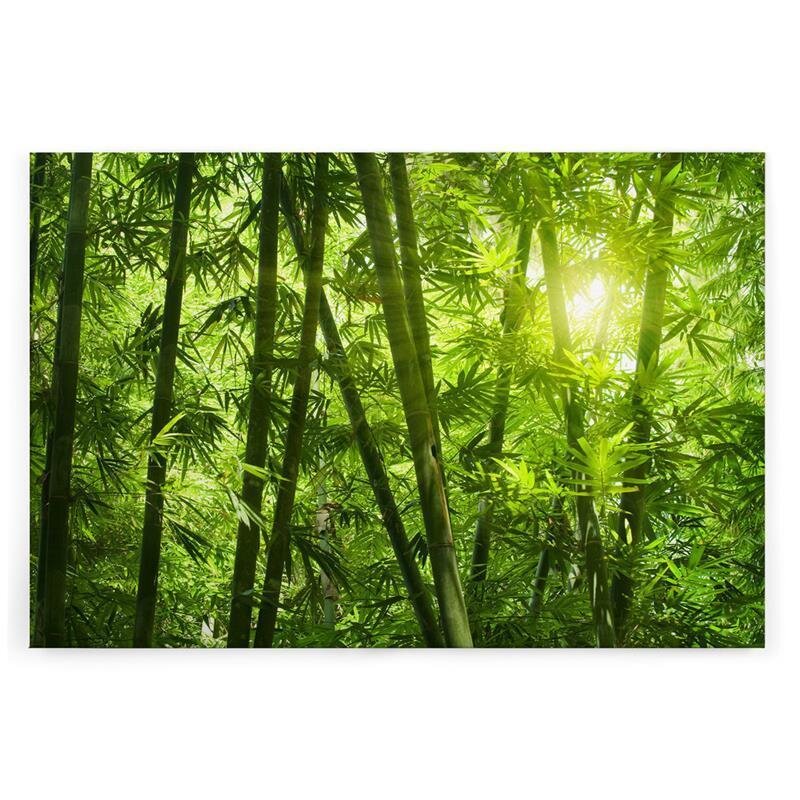 A.S. Création Leinwandbild Bambusnatur