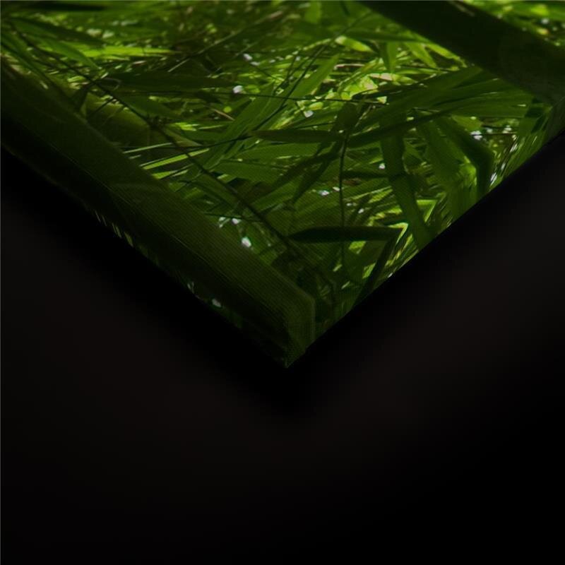 A.S. Création Leinwandbild Bambusnatur