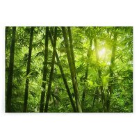 A.S. Cr&eacute;ation Leinwandbild Bambusnatur