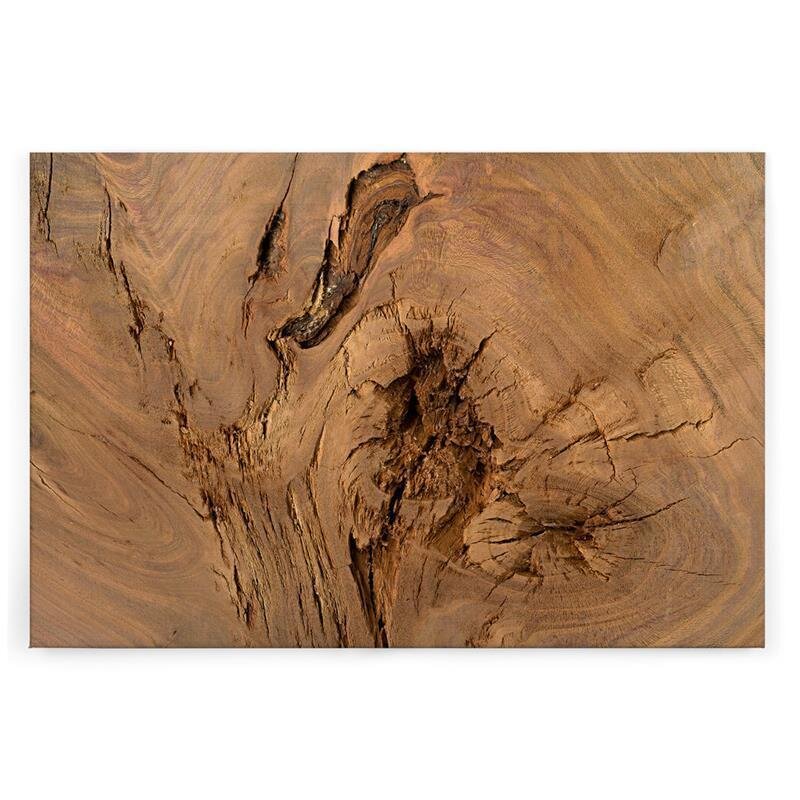 A.S. Création Leinwandbild Baumstamm