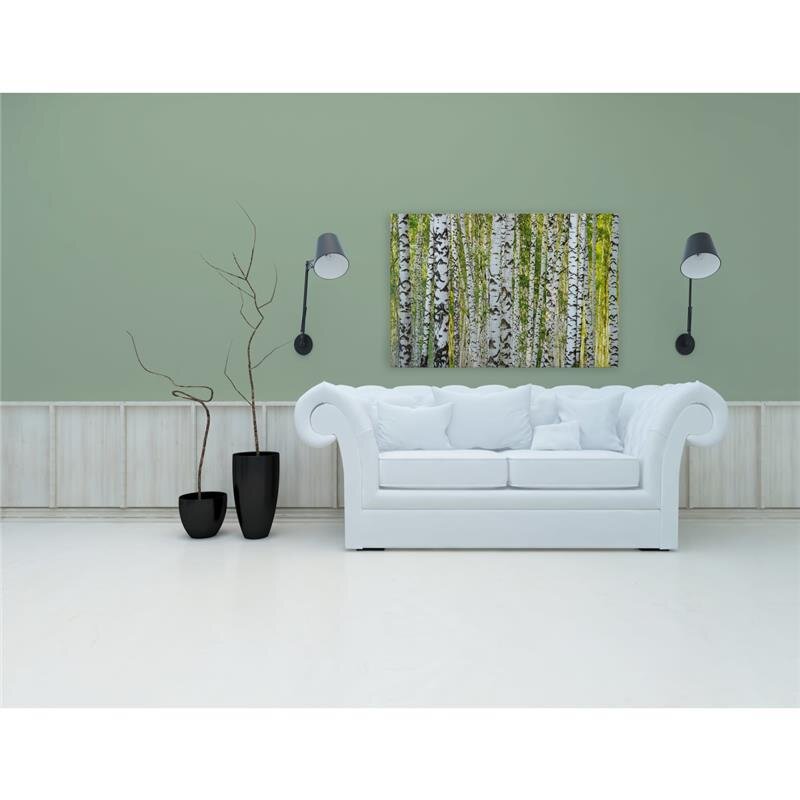 A.S. Création Leinwandbild BirchForest