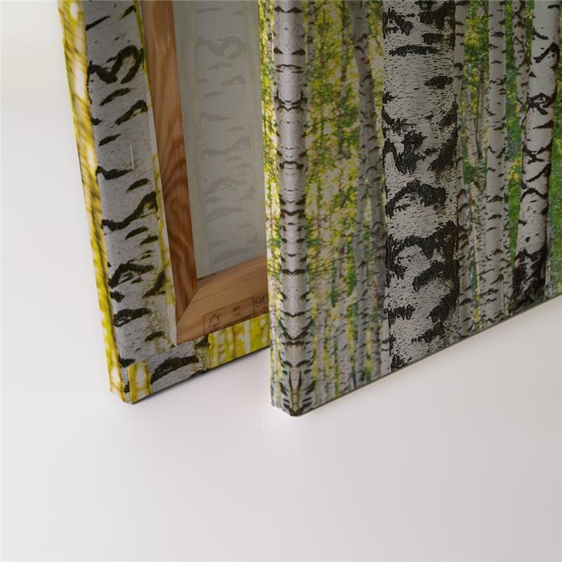 A.S. Création Leinwandbild BirchForest