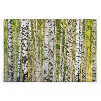 A.S. Cr&eacute;ation Leinwandbild BirchForest
