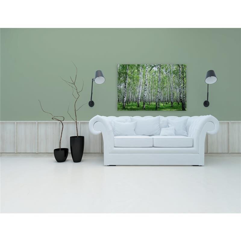 A.S. Création Leinwandbild Birkenwald