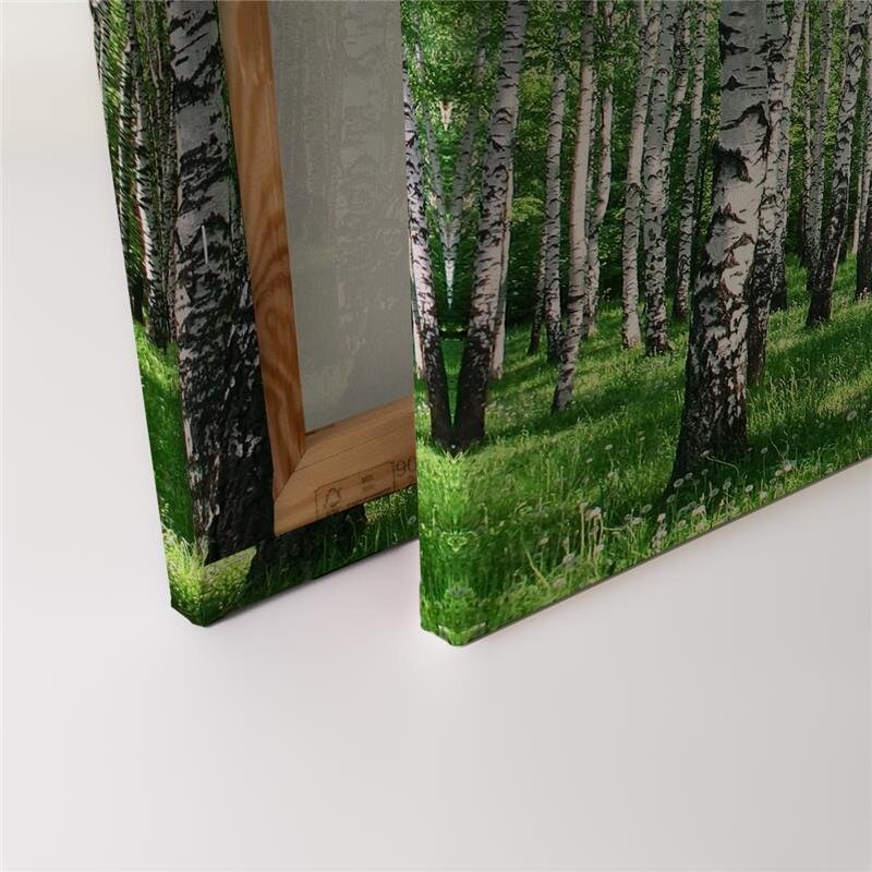A.S. Création Leinwandbild Birkenwald