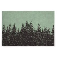 A.S. Cr&eacute;ation Leinwandbild blackforest2