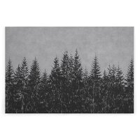 A.S. Cr&eacute;ation Leinwandbild blackforest3