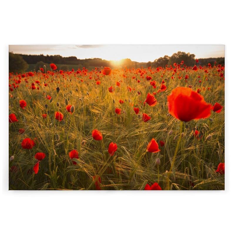 A.S. Création Leinwandbild Blumenfeldrot