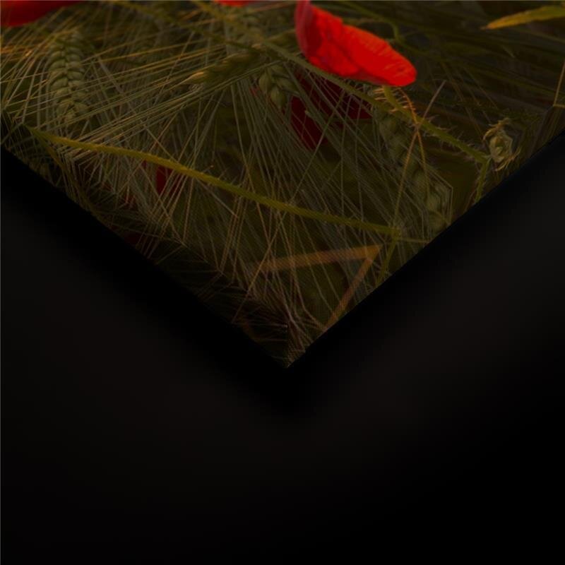 A.S. Création Leinwandbild Blumenfeldrot