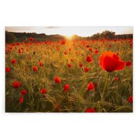 A.S. Cr&eacute;ation Leinwandbild Blumenfeldrot