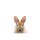 A.S. Création Leinwandbild Brown Baby Bunny