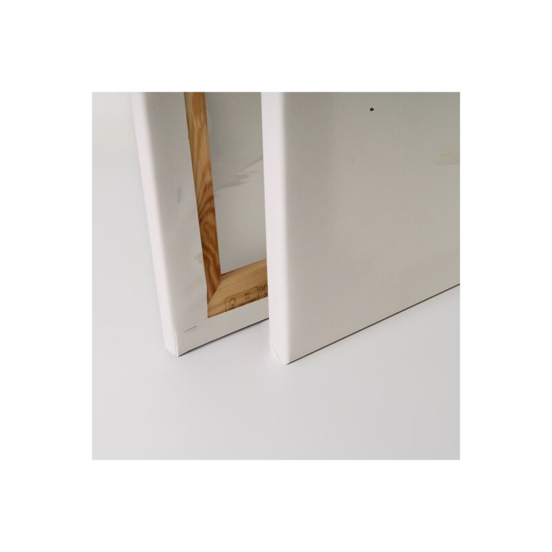 A.S. Création Leinwandbild Cute Raccoon Orange